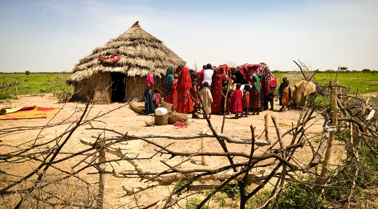 "The gathering" - EAN photo prize winner 2017 - Susana Monge